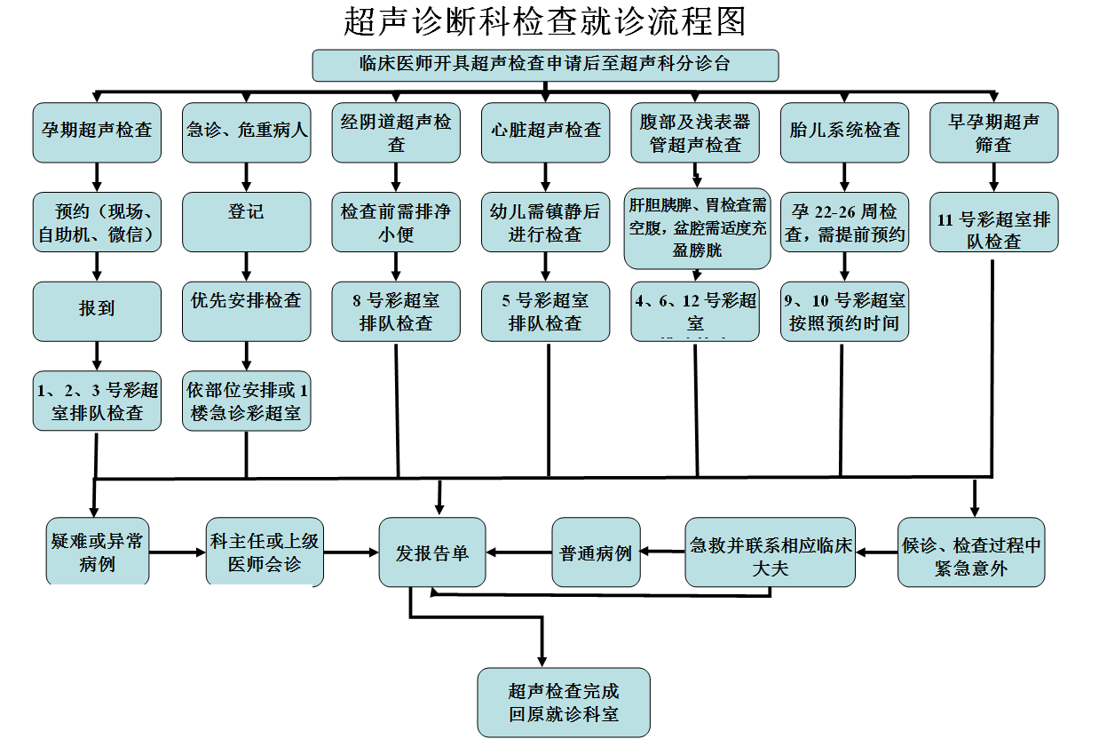 超聲檢查流程.jpg