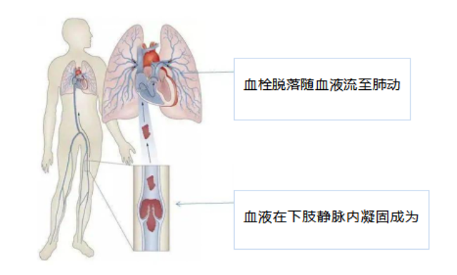 圖片2.png